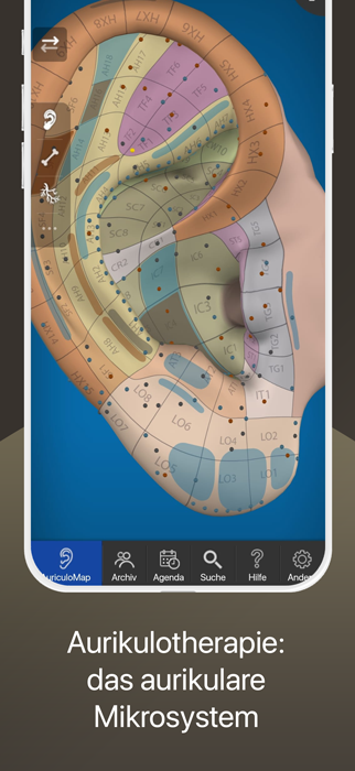Entdecke AuriculoMap, die 3D-Ohrakupunktur-App