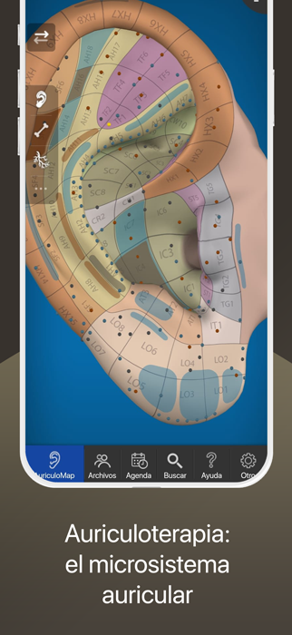 Descubre AuriculoMap, la app 3D de Auriculoterapia