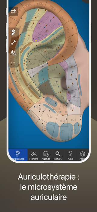 Découvrez AuriculoMap, l'application 3D d'Auriculothérapie