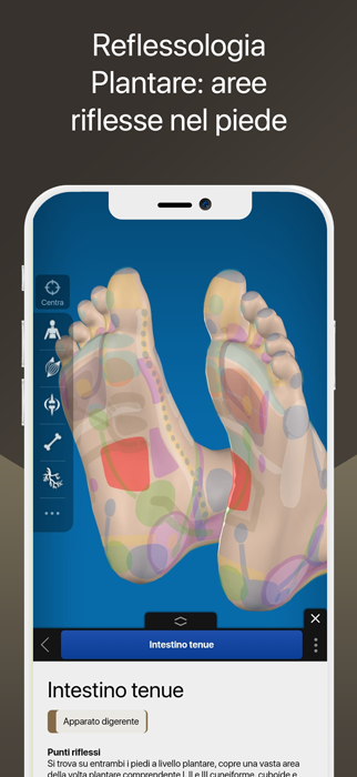 Scopri ReflexologyMap, l'app 3D di Reflessologia Plantare