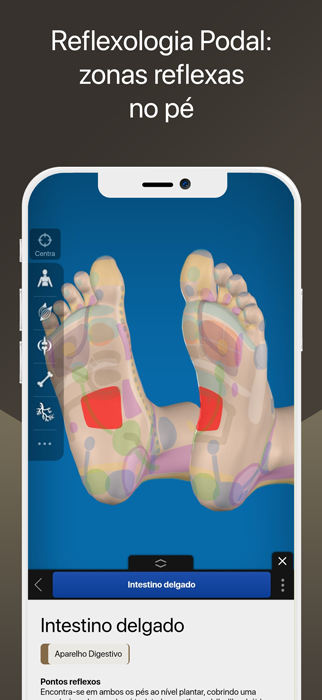 Descubra ReflexologyMap, o aplicativo 3D de Reflexologia Podal